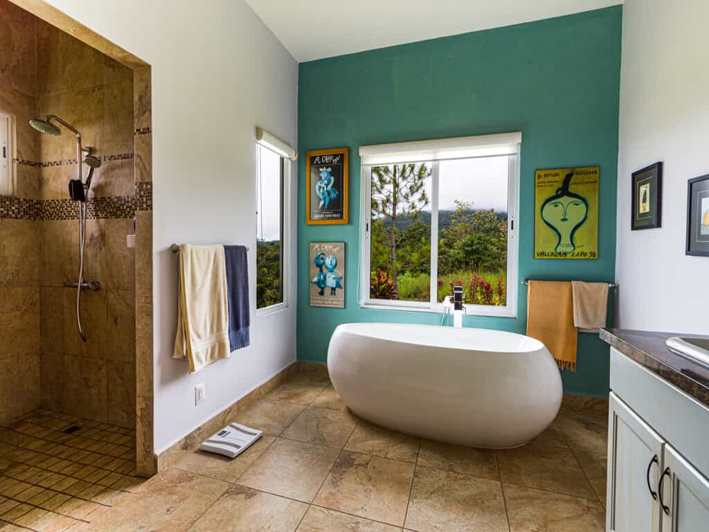 Bathroom with one teal wall.